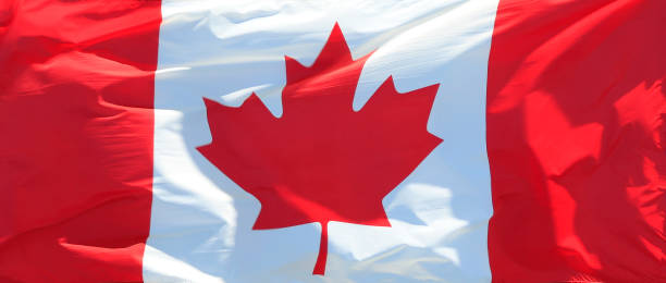 istock Canadian Flag waving in the wind background 1352388010