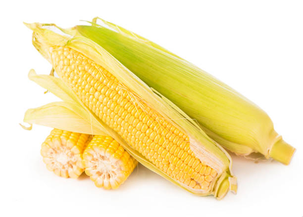 istock Corn cobs on white background. raw corn with green leaves on a white background 1352390706