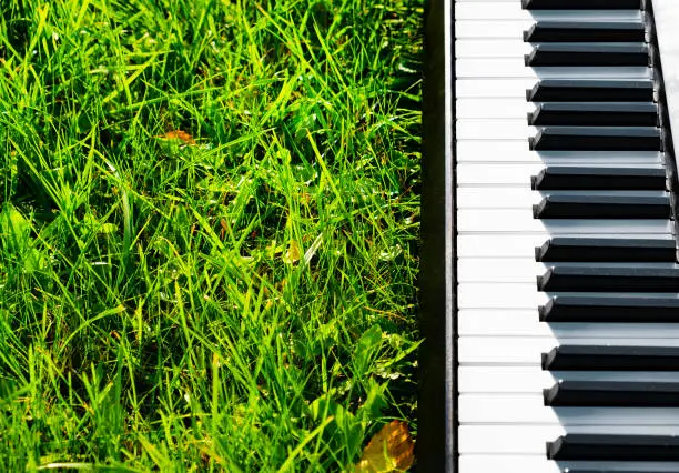 Piano Keyboard on the Green Grass with a Sunlight