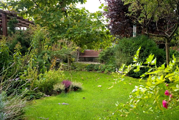 istock A house garden in late summer 1352392238
