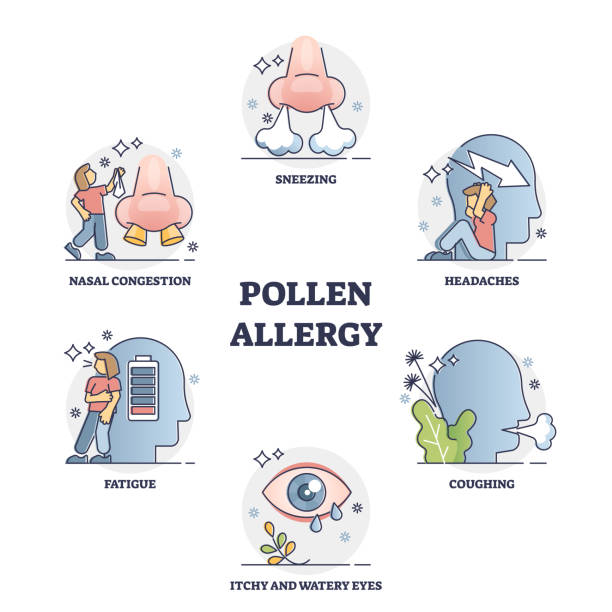 istock Pollen allergy symptoms collection from molds and spores outline diagram 1352393987