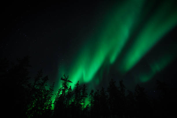 istock The aurora, glowing over Yellowknife city. 1352394043