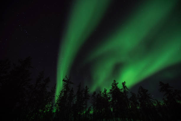 istock The aurora, glowing over Yellowknife city. 1352394045