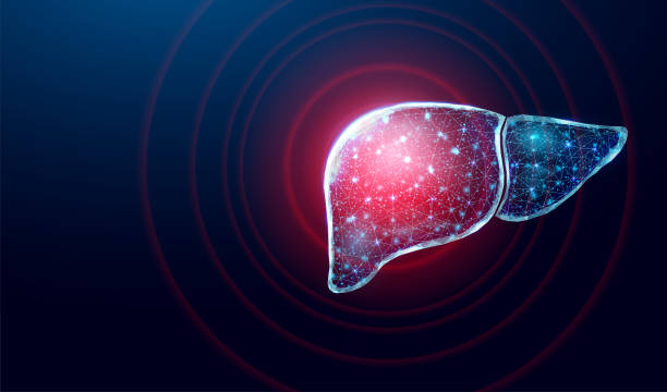 perlindungan hati manusia. wireframe gaya poli rendah. konsep untuk medis, farmakologi, pengobatan hepatitis. abstrak ilustrasi vektor 3d modern pada latar belakang biru tua. - hepatitis ilustrasi stok