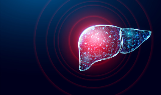 Human liver protection. Wireframe low poly style. Concept for medical, pharmacology, treatment of the hepatitis. Abstract modern 3d vector illustration on dark blue background.