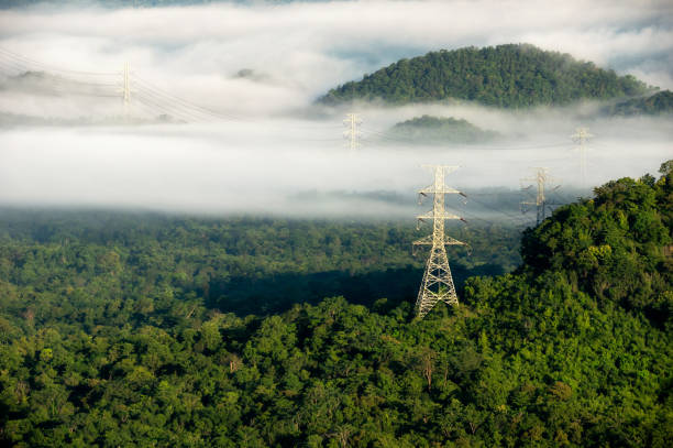 istock High voltage power poles in green forest with fog. 1352396611