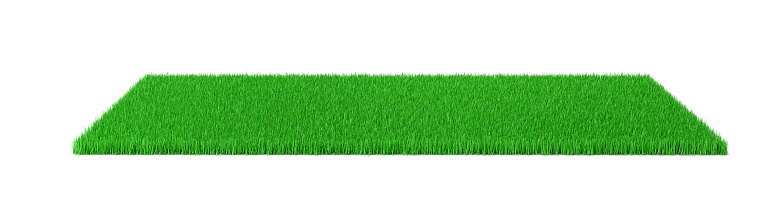 3D Render Cut Out Grass on white background.