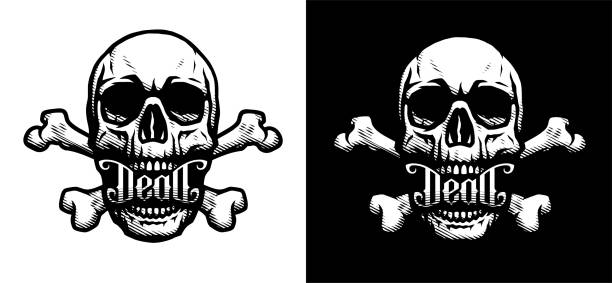 ilustraciones, imágenes clip art, dibujos animados e iconos de stock de cráneo y huesos. dos opciones. ilustración vectorial. - calavera
