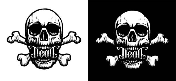 illustrazioni stock, clip art, cartoni animati e icone di tendenza di cranio e ossa. due opzioni. - skull and bones