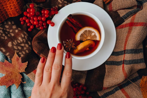 conceito de humor de outono. mão feminina com manicure vermelha. chá quente com palitos de limão e canela no fundo aconchegante do cachecol do suéter. folhas de outono e frutos da composição ainda vida. xícara de vinho mulled. hora do chá - autumn women leaf scarf - fotografias e filmes do acervo