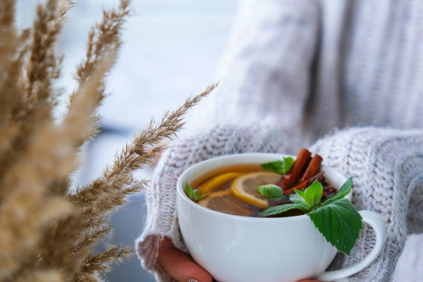 weibliche hände auf pullover halten tee mit zitrone, zimtstangen und minzblättern. heißes getränk. gesunder melissentee natürliches bio-aromatisches getränk in der tasse. herbst winter wärmendes getränk. gemütliches zuhause - mint tea lemon tea leaves glass stock-fotos und bilder