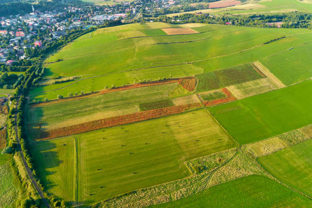 istock Aerial view of agricultural fields 1352403112