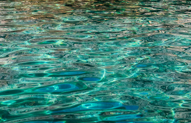 istock Emerald sea in sunshine glow as surface background. Summer holidays concept 1352404068