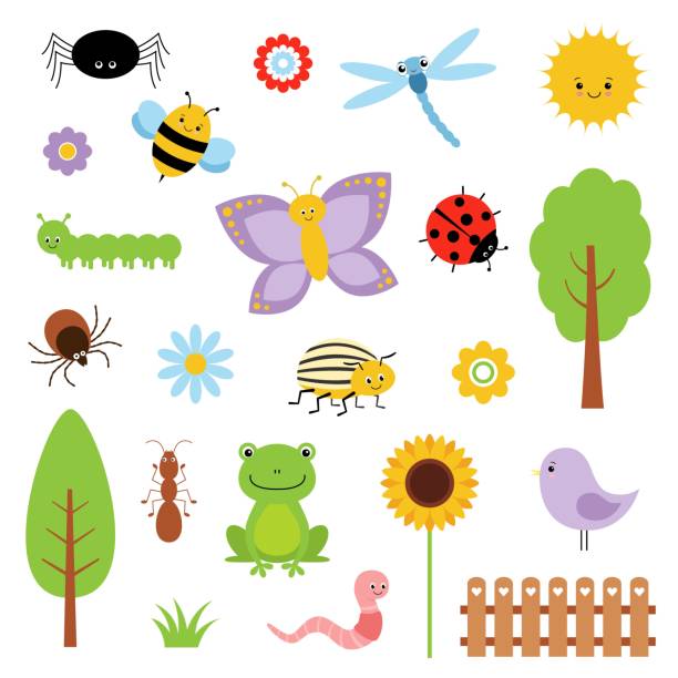 Cute characters set. Vector collection. Frogs and insects Cute characters set. Vector collection. Frogs and insects. Garden spider on flower stock illustrations
