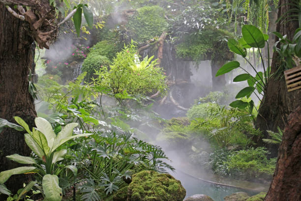 istock Mist over a stream in a man-made rainforest style garden 1352406611