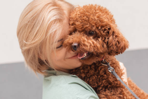 istock Portrait Of Dog 1352408272