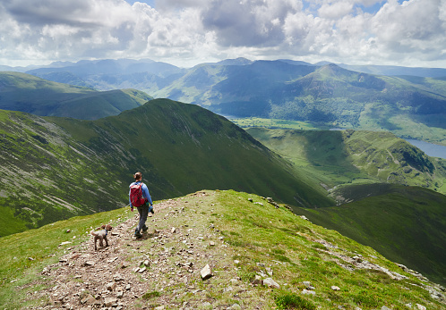 A female hiker and their dog descending from Grasmoor down Lad Hows above Buttermere on a sunny day in the English Lake District, UK.