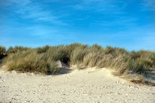 Marram grass and sand dunes. Predominantly a recreation and tourist area,, Poole Bay has historically been significant strategically in WW2 as well as being of special scientific interest with its nature reserve areas and Jurassic coast coastline around Studland Bay, Jurassic Coast, Dorset, England, UK.