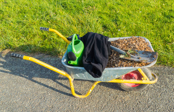 Metal Wheelbarrow with Gardening Tools stock photo