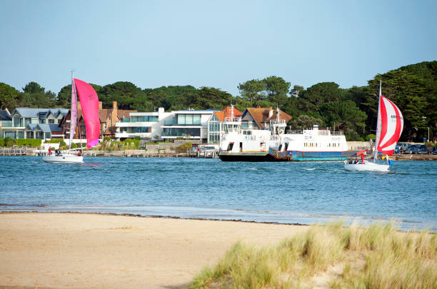 Yachts and car ferry in Poole Harbour entrance at Shell Bay near Studland, Dorset, England, UK. Yachts and car ferry in Poole Harbour entrance at Shell Bay near Studland, Dorset, England, UK. A recreational hub on the south coast of England, Poole harbour, the second largest natural harbour in the world, attracts tourists, yachtsmen, hikers and horseriders alike in pursuit of leisure activities along the coastline and water's edge. studland heath stock pictures, royalty-free photos & images