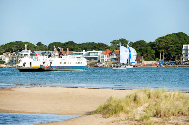 Yachts and ferry at Poole Harbour entrance at Shell Bay near Studland, Dorset, England, UK. Yachts and ferry at Poole Harbour entrance at Shell Bay near Studland, Dorset, England, UK. A recreational hub on the south coast of England, Poole harbour, the second largest natural harbour in the world, attracts tourists, yachtsmen, hikers and horseriders alike in pursuit of leisure activities along the coastline and water's edge. studland heath stock pictures, royalty-free photos & images