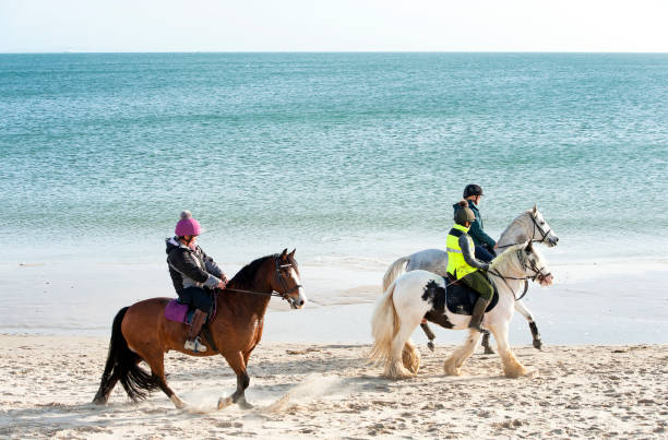 Hacking on horseback at Poole Harbour entrance at Shell Bay near Studland, Dorset, England, UK. Hacking on horseback at Poole Harbour entrance at Shell Bay near Studland, Dorset, England, UK. A recreational hub on the south coast of England, Poole harbour, the second largest natural harbour in the world, attracts tourists, yachtsmen, hikers and horseriders alike in pursuit of leisure activities along the coastline and water's edge. studland heath stock pictures, royalty-free photos & images