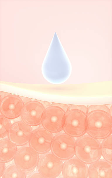istock Skin cells absorb the serum, 3d rendering. 1352421807