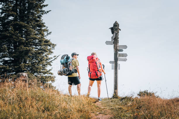 istock Hiking friends relax on grassy mountain ridge 1352422768