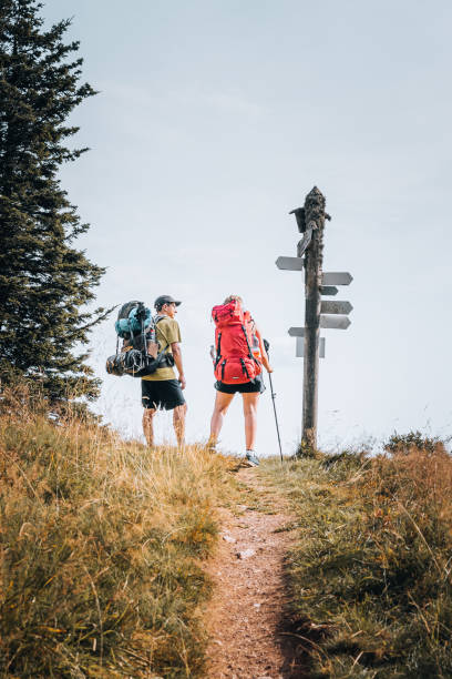 istock Hiking friends relax on grassy mountain ridge 1352422782