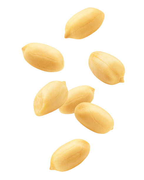 Falling peanut isolated on white background, clipping path, full depth of field stock photo