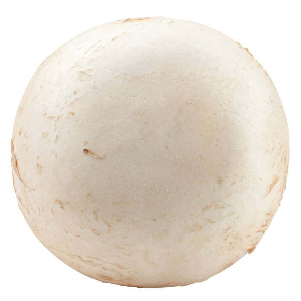 istock champignon, mushroom, isolated on white background, clipping path, full depth of field 1352426165