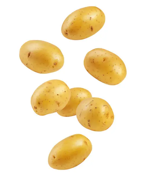 Falling potato, isolated on white background, clipping path, full depth of field