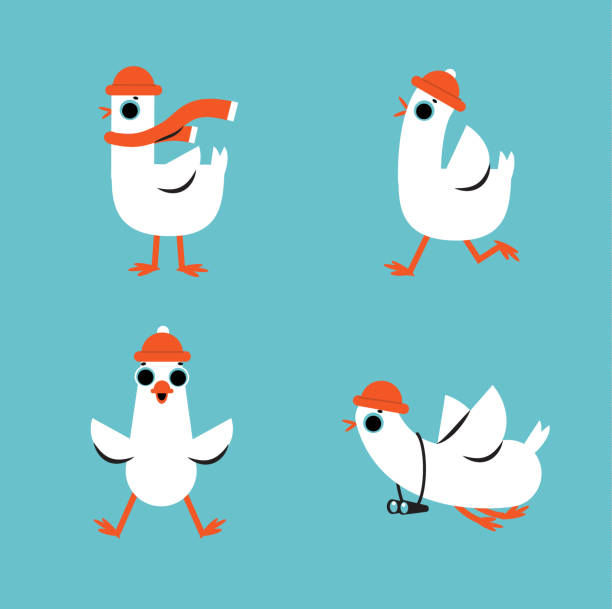 Funny cartoon goose in different poses. vector seagull character in clothes Funny cartoon goose in different poses. vector seagull character in flat style duck with hat stock illustrations
