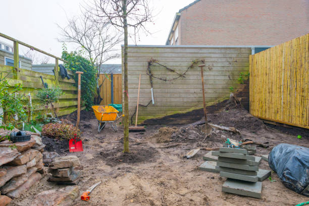 Renovation of a garden in a residential area in autumn stock photo