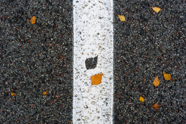 istock Road median strip with leaf imprint 1352433374