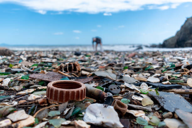 In the foreground is garbage thrown on the seashore. Defocus man collects waste. Environmental pollution concept. Ecological problem. Disruption of planet ecosystem.