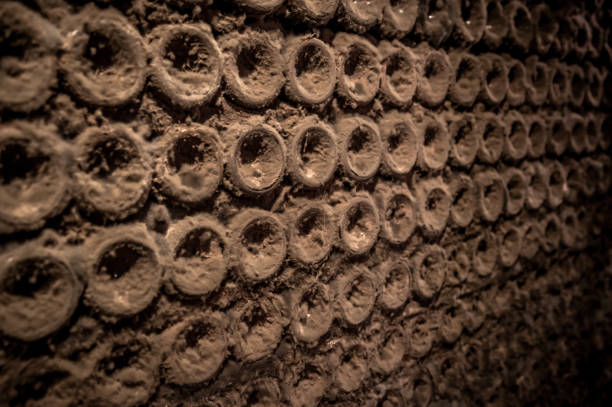 ancient wine bottles in cellar - wine cellar wine bottle grape imagens e fotografias de stock