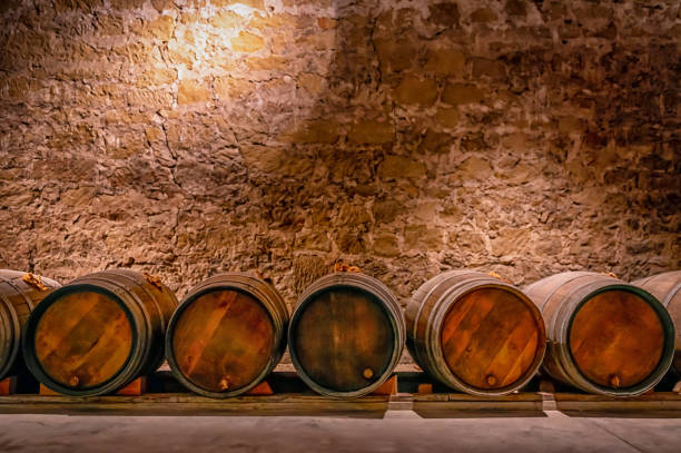 barrels in a wine cellar - aging process french culture winemaking next to imagens e fotografias de stock