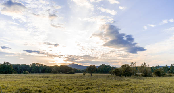 istock Sunset road. Car travel concept. Nice view from the window. 1352433911