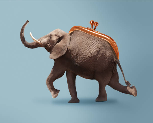 Budget safari - happy elephant and wallet concept mixed media image