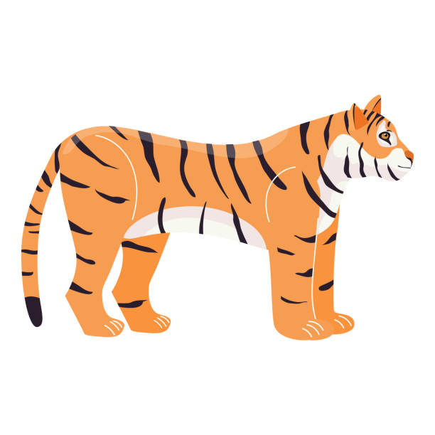 100+ Crouching Tiger Illustrations, Royalty-Free Vector Graphics & Clip ...