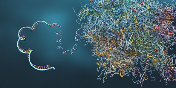 Ribosoma como parte de una célula biológica que construye una molécula de ARNm - ilustración 3D photo
