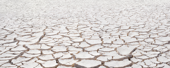 Cracked white clay, dried lakebed surface texture. Panorama with diminishing perspective and deep focus