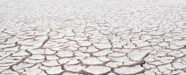 Cracked white clay, dried lakebed surface texture. Panorama with diminishing perspective Cracked white clay, dried lakebed surface texture. Panorama with diminishing perspective and deep focus lakebed stock pictures, royalty-free photos & images