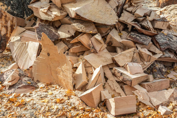 обрезки бревен на лесопилке используются в качестве дров. - sawdust shavings wood chip pine стоковые фото и изображения