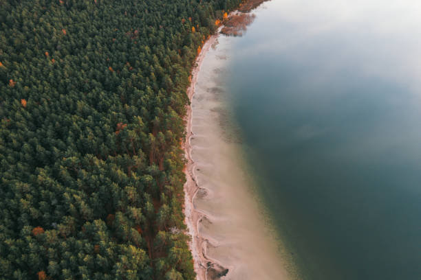 istock Fall landscape background. 
Forest shore near lake aerial drone view. 1352443948