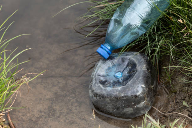 istock In the forest lake are plastic waste. 1352444896
