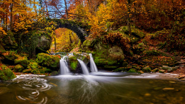 istock Autumn in Luxembourg - Mullerthal 1352445009