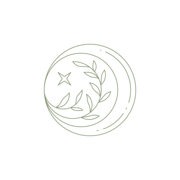 Decorative monochrome tree branch with leaves at rounded art frame icon vector illustration Decorative monochrome tree branch with leaves at rounded art frame icon vector illustration. Simple linear logo esoteric half moon floral design elements isolated. Magic emblem for spa skincare salon half moon stock illustrations