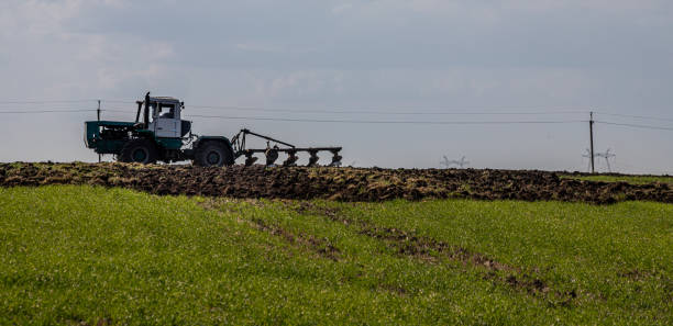istock Farmer in tractor preparing land with seedbed cultivator 1352449038